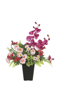 �y�ʓr�����zƭ��ذ��