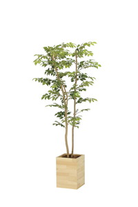 【別途送料】ウッドボックスマウンテンアッシュ1.6