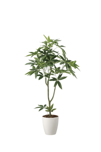 �y�ʓr�����z�گ���߷�1.35