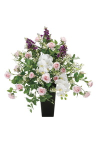 �y�ʓr�����z̧��׽