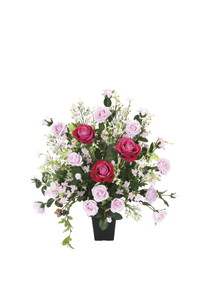 【別途送料】ファ-ストロ-ズ