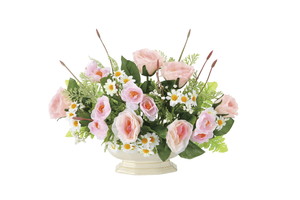 【別途送料】スモールデージー