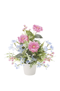 �y�ʓr�����z��ضް���