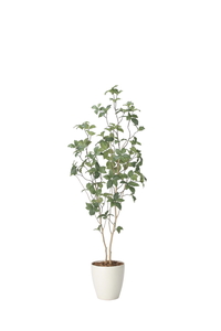 �y�ʓr�����z�׻�޳���1.6