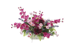 【別途送料】パリエール