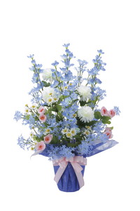 【送料別途】パナマブルー