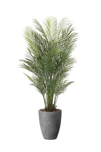 �y�ʓr�����z����ٱڶ�߰�1.75