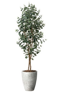 �y�ʓr�����z�����հ��1.8