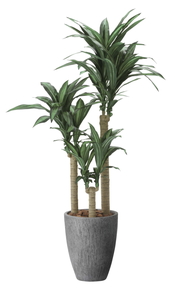 �y�ʓr�����z����ٍK���̖�1.65