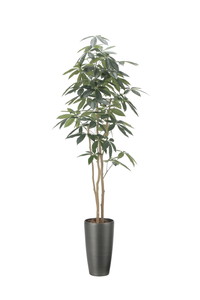 �y�����ʓr�z����߷�1.8