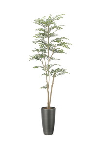 �y�����ʓr�z�����غ1.8