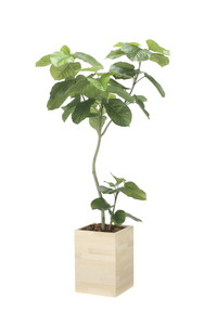 �y�����ʓr�z�����ޯ������װ�W1.8