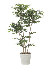 �y�����ʓr�z�޻޲���ݼެ��1.8