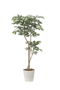 �y�����ʓr�z�޻޲���ݼެ��1.6