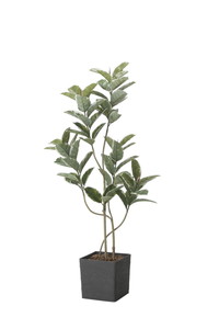 �y�����ʓr�z���ر��ü�1.6