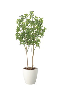 �y�����ʓr�z�گ������1.8