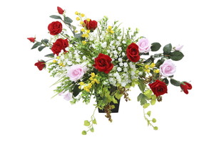 【送料別途】エデンローズ