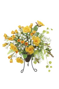 【送料別途】ゴールドベリー