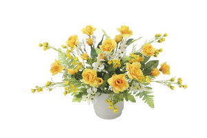 【送料別途】ゴールドワン