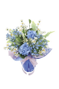 【送料別途】アーリーブルー