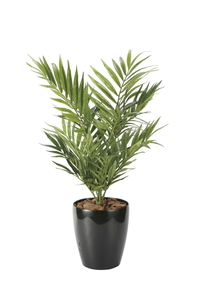 �y�ʓr�����z�߰װ�߰�