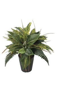 �y�ʓr�����zЯ��̨�