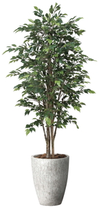 �y�ʓr�����z�����۲����ݼެ��1.8
