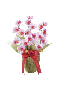 �y�ʓr�����z�ƌӒ���LAV