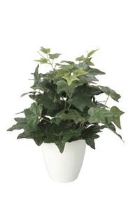 �y�ʓr�����z���ްM