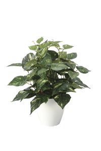 �y�ʓr�����z��ĽM