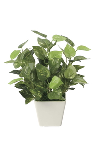 �y�ʓr�����z����Ľ