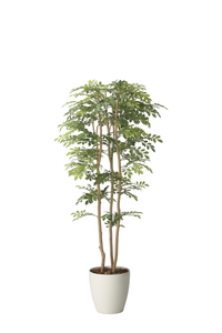 �y�ʓr�����z°����غ1.65