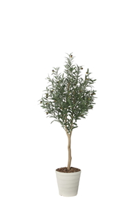 �y�ʓr�����z�ذ�޸�ڲ�1.6