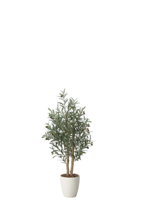 �y�ʓr�����z�ذ�޸�ڲ�1.2