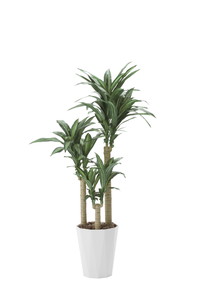 �y�ʓr�����z�V�i��YAT400R400�@�K���̖� 1.6