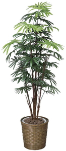 �y�ʓr�����z����� 1.6