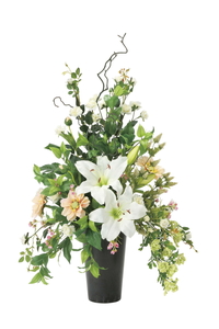 �y�ʓr�����z���د�������ݶ