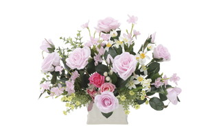 【別途送料】シンシアピンク