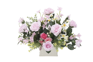 �y�ʓr�����z�ݼ���ݸ