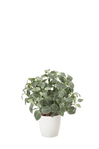 【別途送料】フィットニアM(フロック加工)