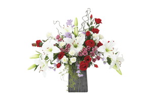 【別途送料】レッドエレガンス