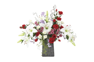 �y�ʓr�����zگ�޴ڶ�ݽ