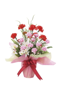 �y�ʓr�����zЯ���-�-���