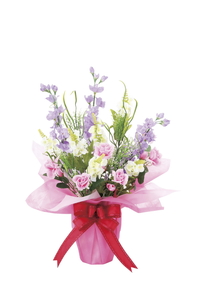 �y�ʓr�����z�ݼޭ��