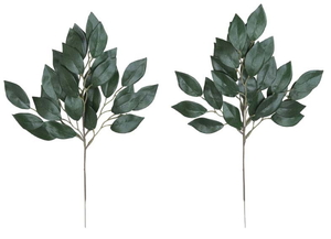 【別途送料】榊小4本セット