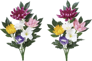 ブッカブッシュロータス(2P)