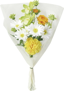 �Ӳ��Ų�۰���