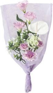 �Ӳ�����޶�Ȱ���