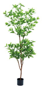 �y�l��z���s�z�y�ʓr����B�z�����ذ180cm(�V�R��)