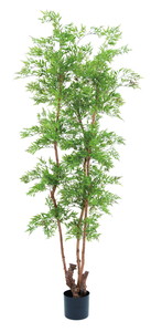 �y�l��z���s�z�y�ʓr����B�z�����м�210cm(�V�R��)��